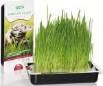 Трава для кошек TiTBiT для проращивания